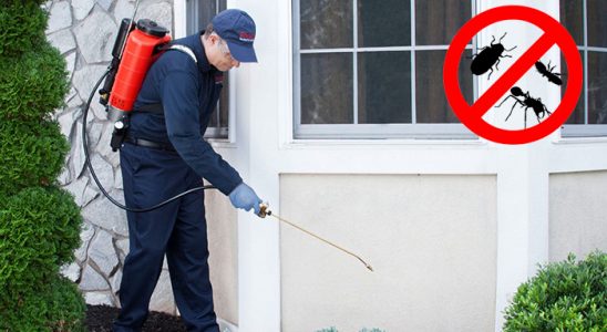 Toprakkale Tahtakurusu İlaçlama böcek ilaçlama ve haşere kontrolü — ilaclama-tr.com